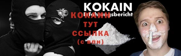 шишки Пролетарск