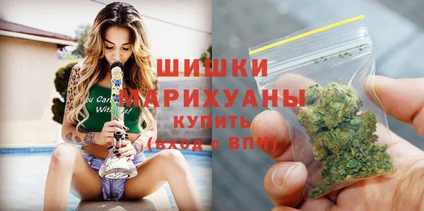 шишки Пролетарск
