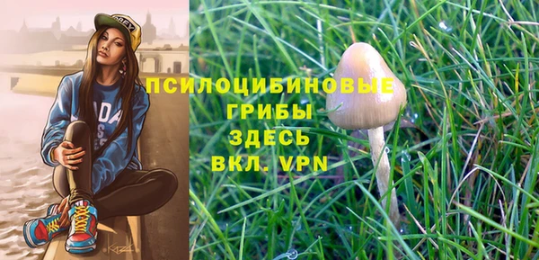 спиды Протвино