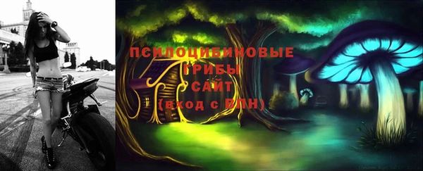 шишки Пролетарск