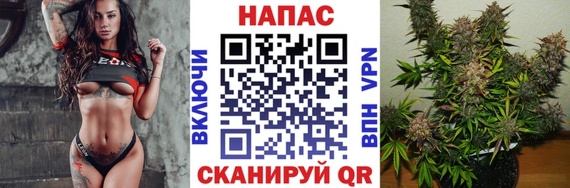 хочу   Медынь  дарк нет наркотические препараты  Канабис конопля 
